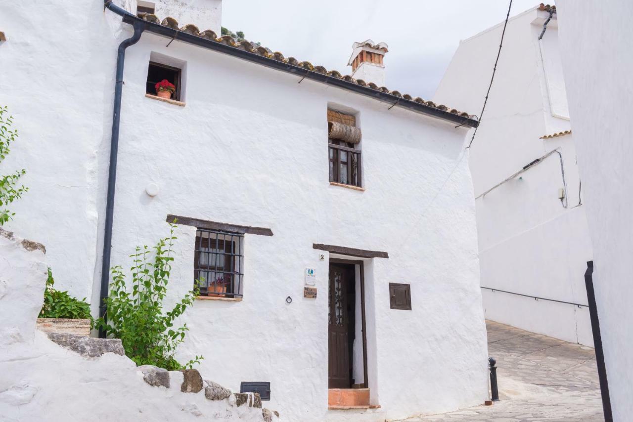 Conjunto Rural Casa Victoria Guest House Villaluenga Del Rosario Ngoại thất bức ảnh