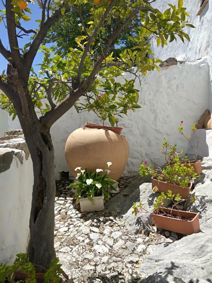 Conjunto Rural Casa Victoria Guest House Villaluenga Del Rosario Ngoại thất bức ảnh